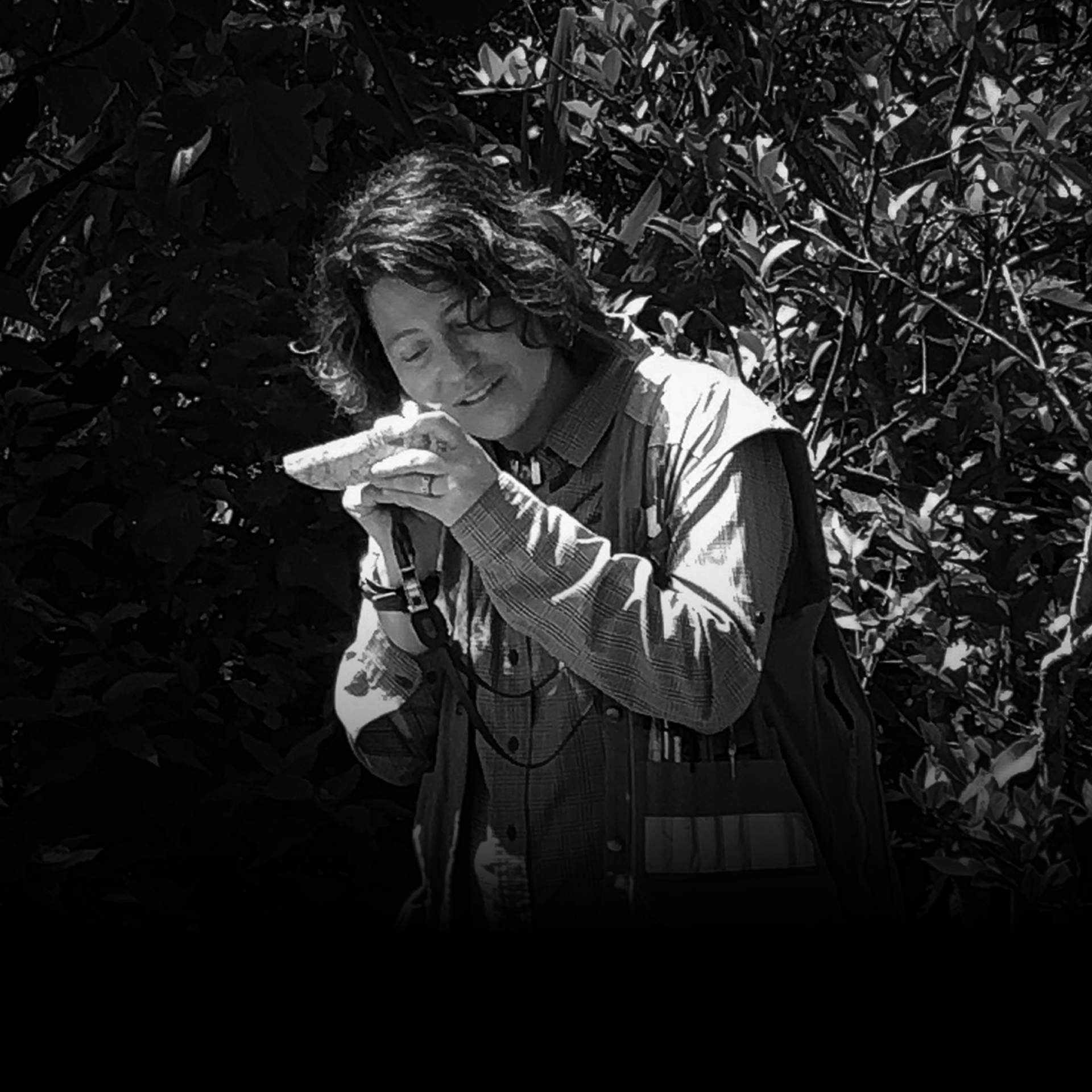 Carolina mineral_degradado Squared